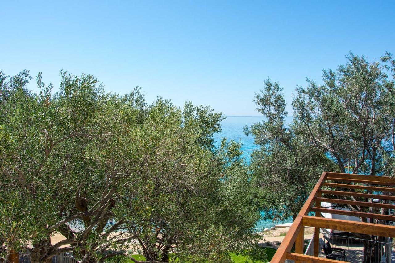 Borovići Villa Rooms Mediteran מראה חיצוני תמונה