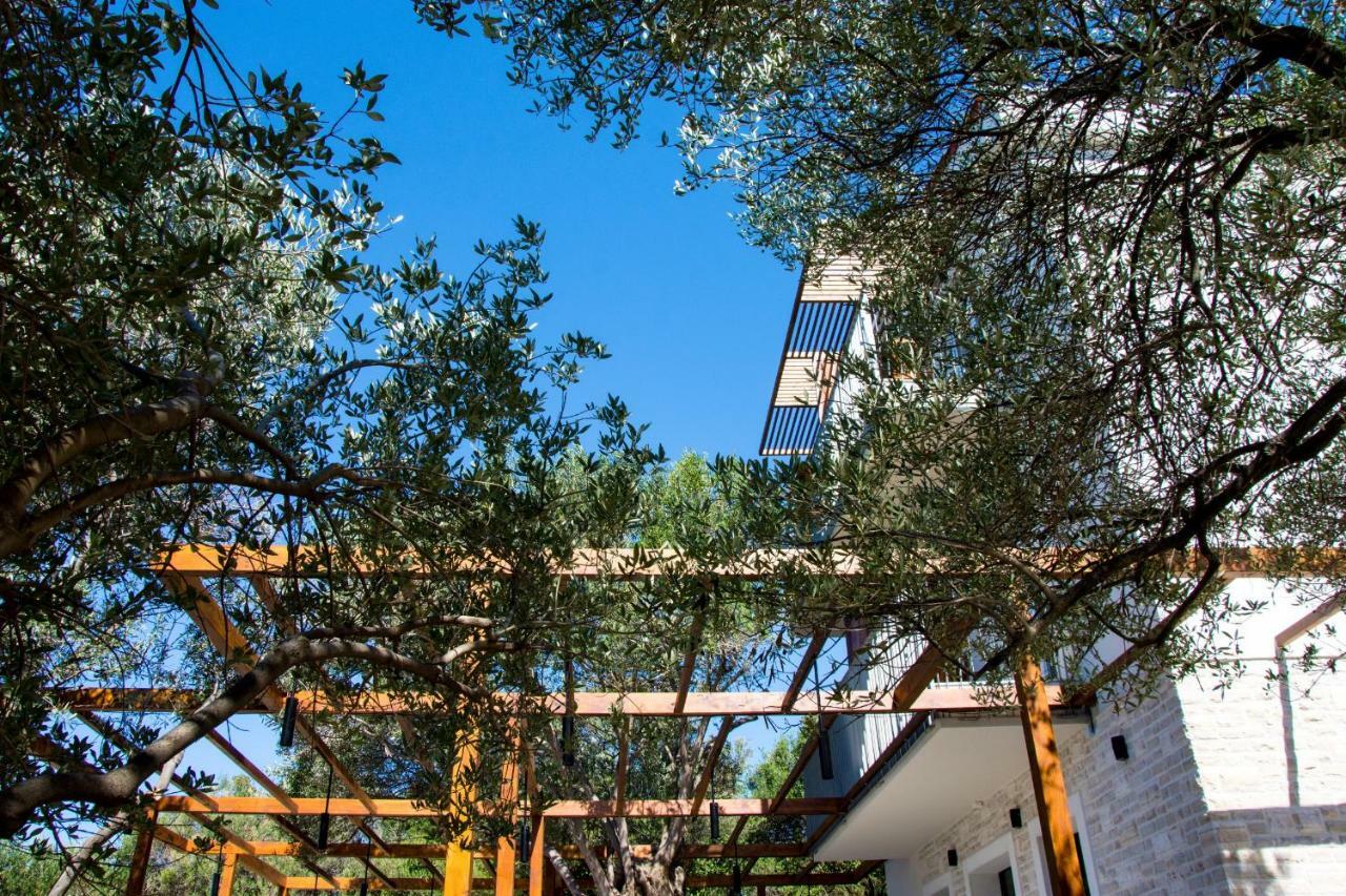Borovići Villa Rooms Mediteran מראה חיצוני תמונה