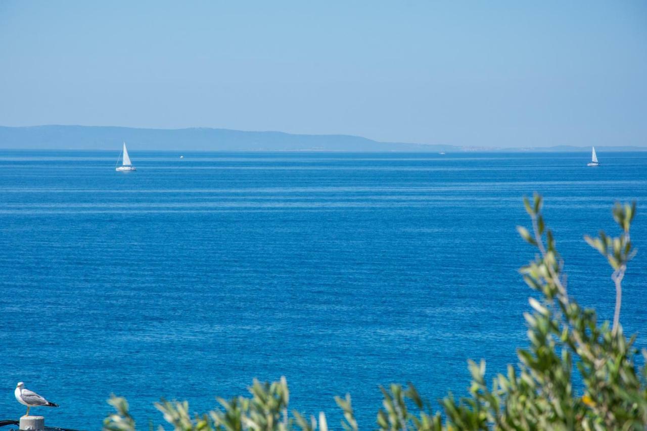 Borovići Villa Rooms Mediteran מראה חיצוני תמונה